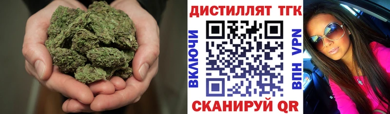 купить наркотики цена  Сенгилей  Дистиллят ТГК вейп 