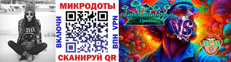 KRAKEN tor Сенгилей Псилоцибиновые грибы прущие грибы продажа наркотиков